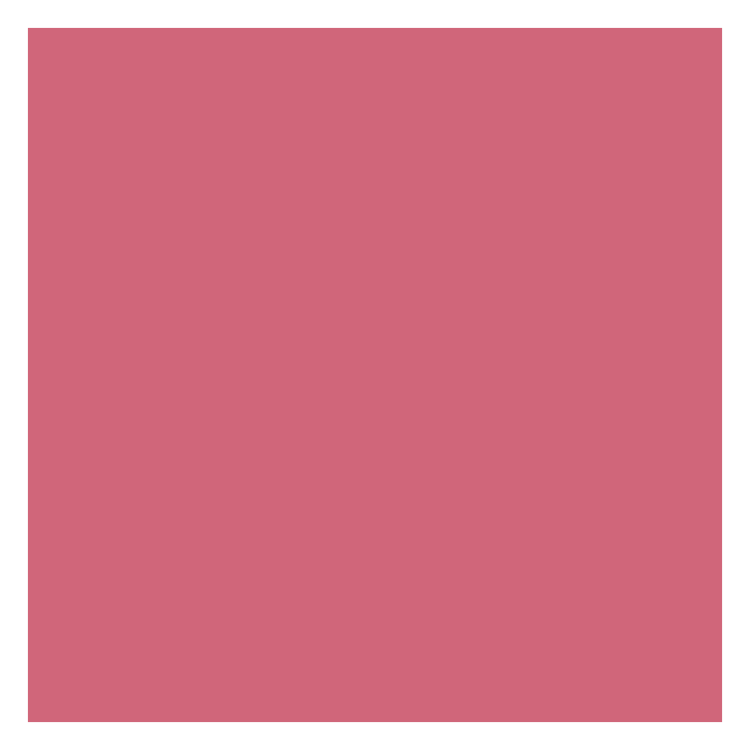 DIOR Forever Rouge Blush - Image 3