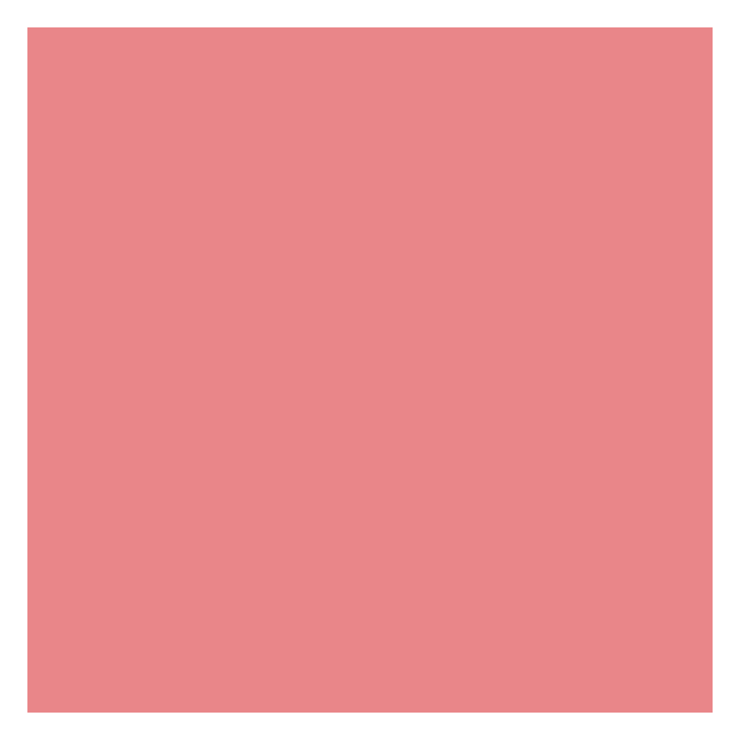 DIOR Forever Rouge Blush - Image 7